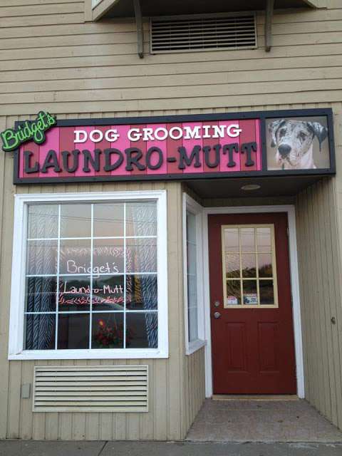 Bridget's Laundro-Mutt